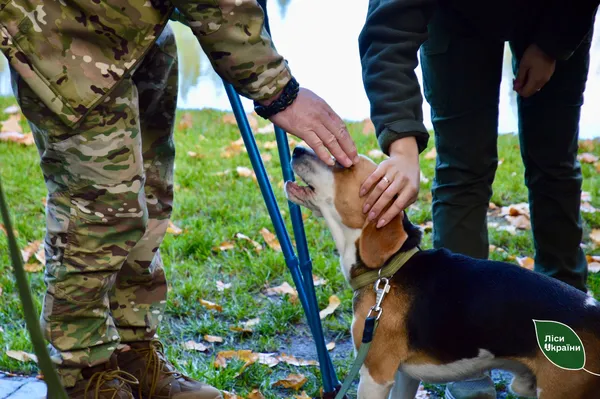 Військовослужбовці проходять екореабілітацію на Волині (фото)