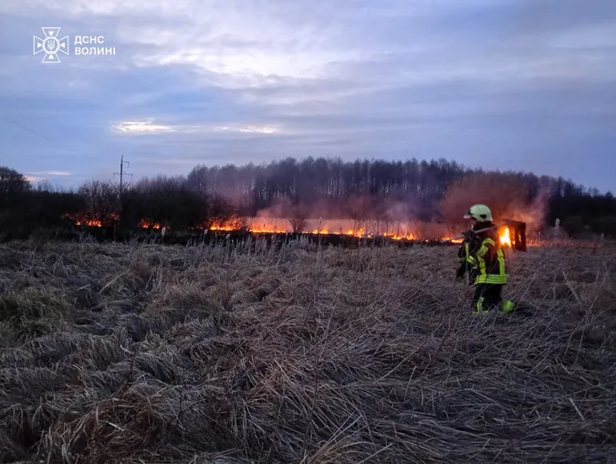 Вогонь знищив 6 га: на Волині сталися пожежі через людську недбалість