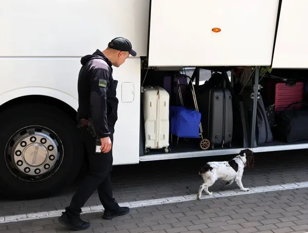 Дейзі шукає наркотики, Вадим – її м'ячик: історія кінолога з «Ягодина»