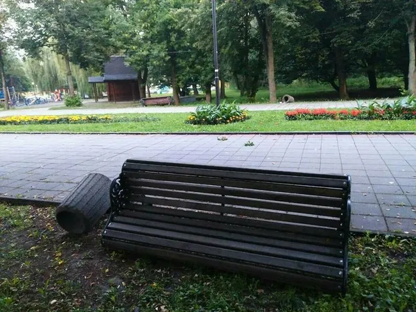 У Луцьку «повандалили» у центральному парку 