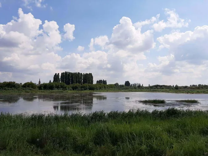 У Луцьку організовують прибирання заплави річки Стир