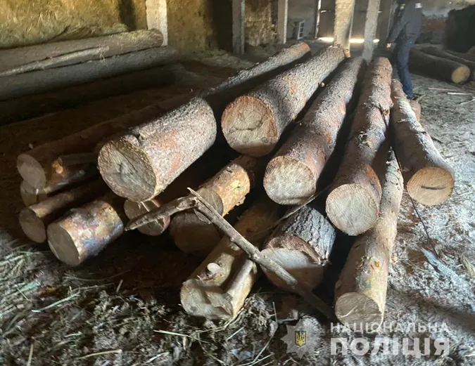 Понад 20 колод сосни: на Волині виявили незаконну пилораму (фото)
