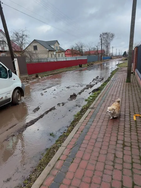 «Староста пропонувала купувати човни»: у волинському селі люди потерпають від багнюки на дорозі (фото)