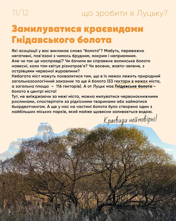 Що обов'язково зробити в Луцьку: ТОП ідей для оригінального вікенду