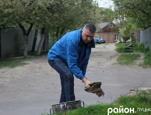 Було б бажання: у Луцьку впорядкували двір (фото)