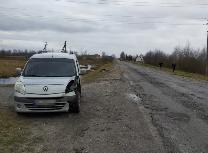 На Волині легковик протаранив підводу – постраждала жінка (фото, відео)