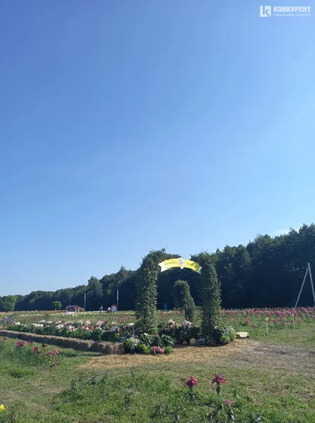 Розпочався фестиваль квітів «Осінь у Волинській Голландії» (фото)
