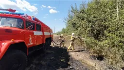 У селі Луцького району сталася пожежа: що горіло (фото)