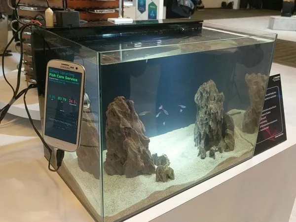 У Samsung створили ферму для видобутку криптовалюти зі старих смартфонів (фото)