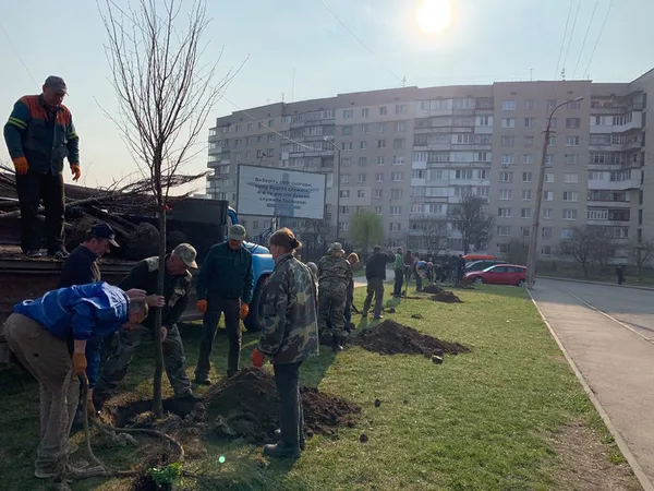 Луцький депутат Яручик із школярами та комунальниками озеленив мікрорайон ЛПЗ (фото)