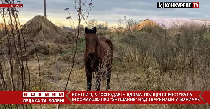 На Волині поліцейські захистили права коней (відео)