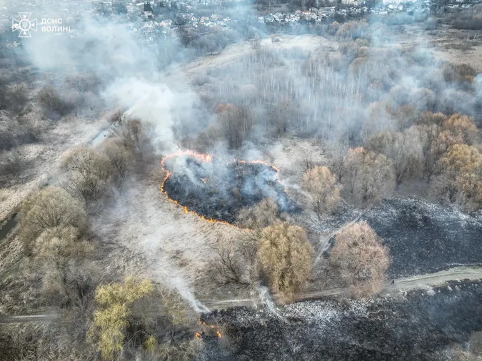 Гектари спалених територій: деталі страшної пожежі у Луцьку (фото)
