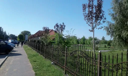 У Ковелі висадили 60 саджанців сакури
