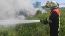 У Луцькому районі горіла суха трава і ледь не загорілося поле зернових (фото)