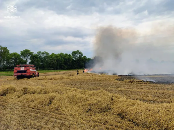 Пожежа стерні на Ковельщині: вогнеборці оперативно ліквідували загоряння (фото)