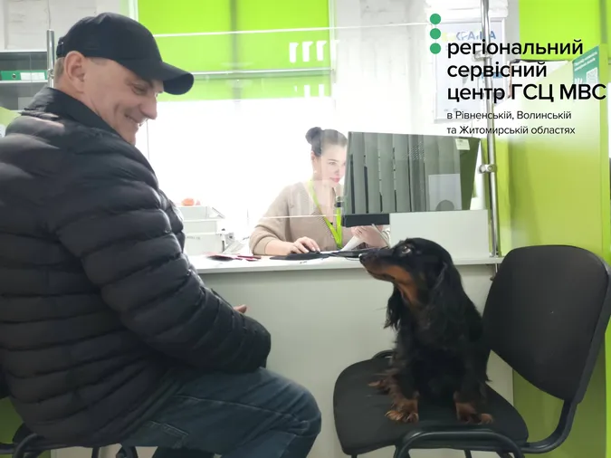 У волинському МРЕО помітили незвичайних відвідувачів: історія мандрівника Віктора та його Жужі