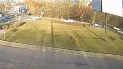 Показали відео ДТП, в якій доньці голови Підгайцівської громади пошкодили авто (відео)