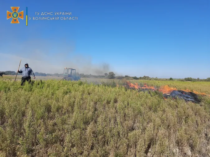 У Луцькому районі рятувальники виявили палія картоплиння (фото)