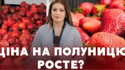 Сезон стартував: скільки коштує полуниця на луцькому ринку та чи чекати здешевлення (відео)