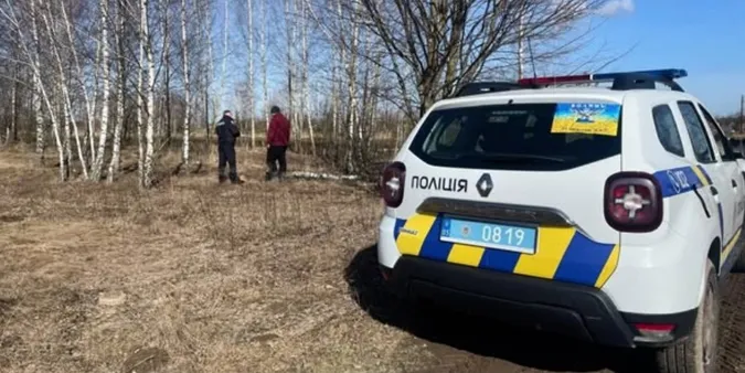 На Волині незаконно зрубали 7 дерев
