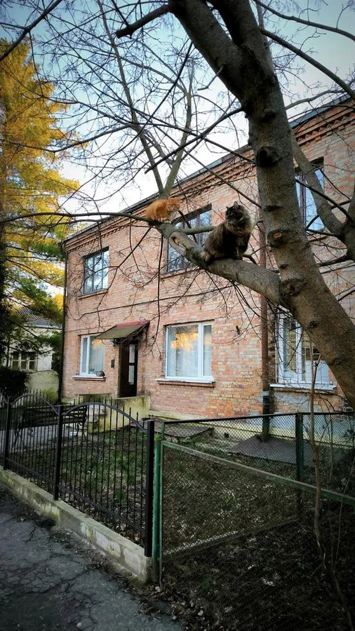 Як засинає Старий Луцьк у теплих обіймах весняного сонця (фото)