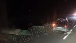 На Волині автомобіль врізався у віз з кіньми (відео)