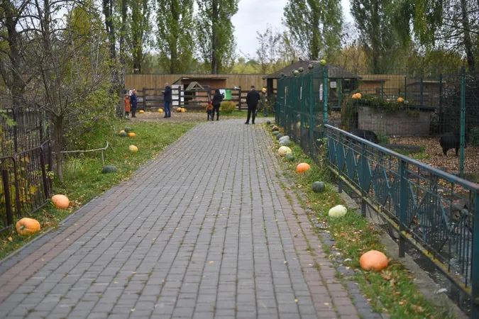 І для відвідувачів, і для тварин: у «Луцькому зоопарку» – «гарбузове» свято (фото)
