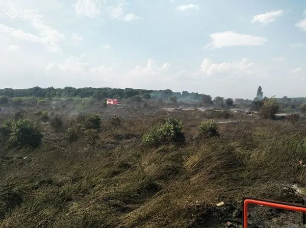 На Волині двоє пенсіонерів виявилися паліями сухої трави (фото)