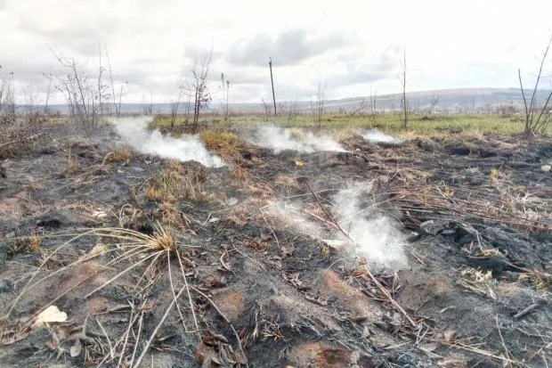 На Волині горіло торфовище