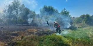 7 пожеж за добу: на Волині вогонь охопив понад 2 гектари сухостою (фото)