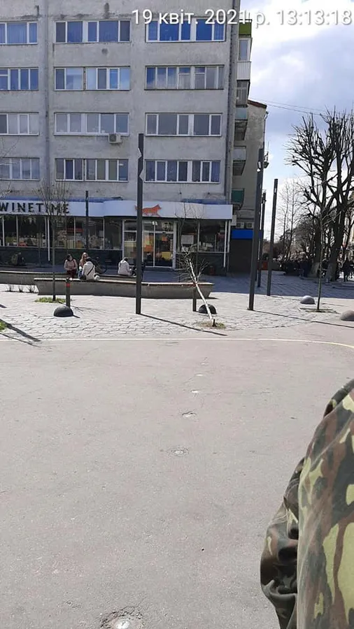 У Луцьку шукають водія, який зламав дерево у центрі міста (фото)