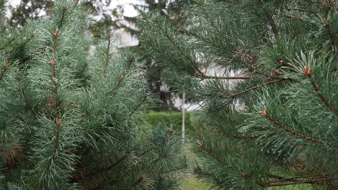 До Луцька раптово підібралась осінь: атмосферні світлини (фото)