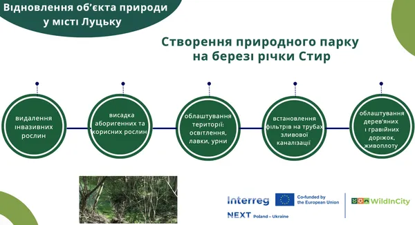 Луцький парк за 30 мільйонів: у кошторисі знайшли ймовірні зловживання