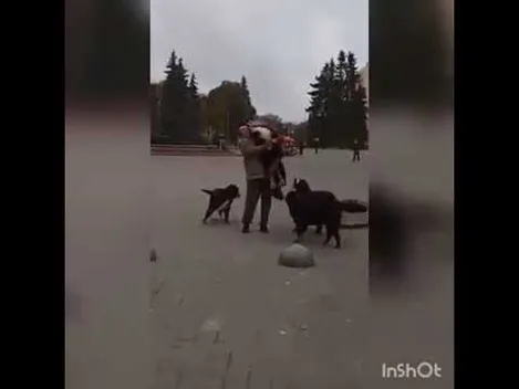 У центрі Луцька закружляв «собачий» вальс (фото, відео)
