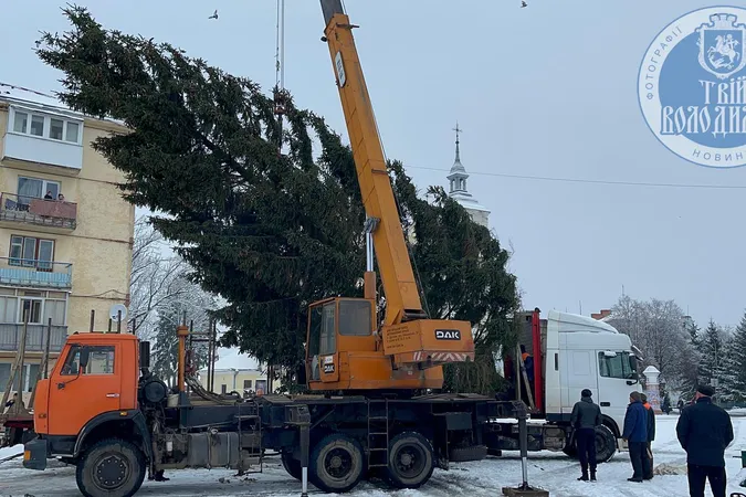 🎄 У Володимирі встановили головну ялинку міста (фото)