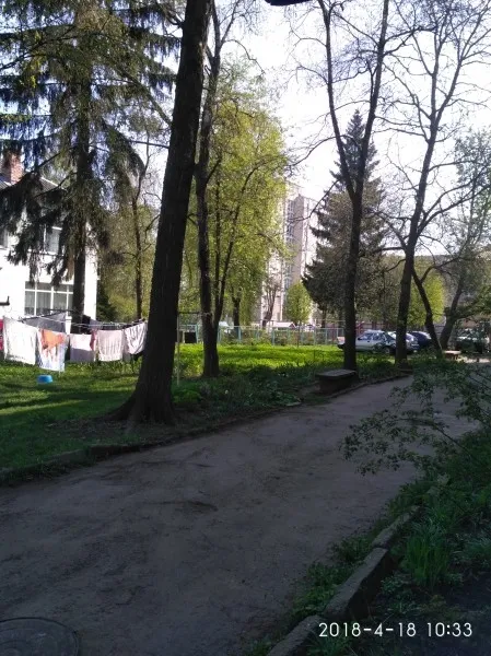 Без асфальту, світла і гойдалок – у Луцьку просять облаштувати двір-пустку (фото)
