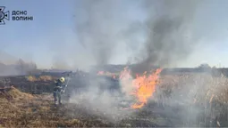 Понад два гектари вогню: на Волині знову палала суха рослинність (фото)