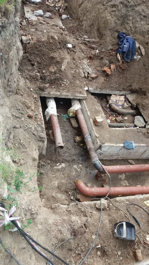 У Луцьку сім'ю котиків можуть заживо засипати землею