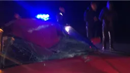 У Луцькому районі автомобіліст «врізався» у лося (фото)