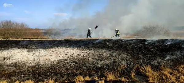 Волинь – у вогні: через паліїв ландшафти нагадують пекло (фото)