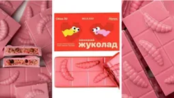 Рожева глазур і малиновий смак: в «Аврорі» знову продають шоколад зі смаженими личинками (фото)