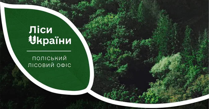 Роботу лісівників Волині та Рівненщини координує Поліський лісовий офіс
