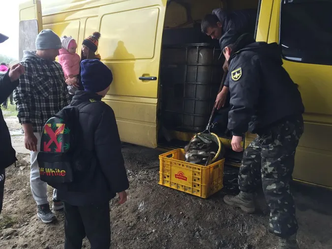 У річку Стир в Луцьку закинули понад тонну риби (фото)