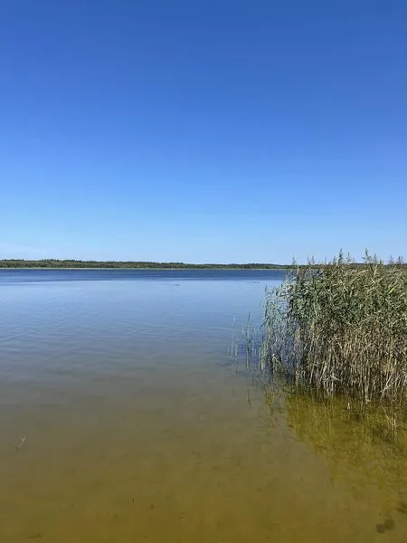 Піщаний берег і прозора, як сльоза, вода: на Волині є озеро, дно якого вкрите унікальним добривом (фото)