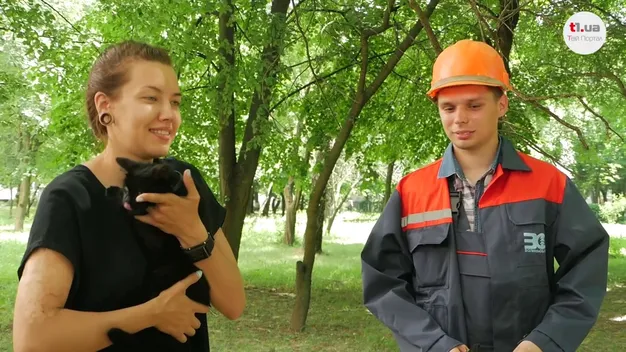 Кіт-альпініст: у Луцьку зняли кота, який просидів на дереві майже тиждень (фото, відео)