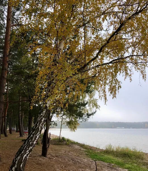 Безлюдне та таємниче: у мережі показали краєвиди озера Пісочне (фото)