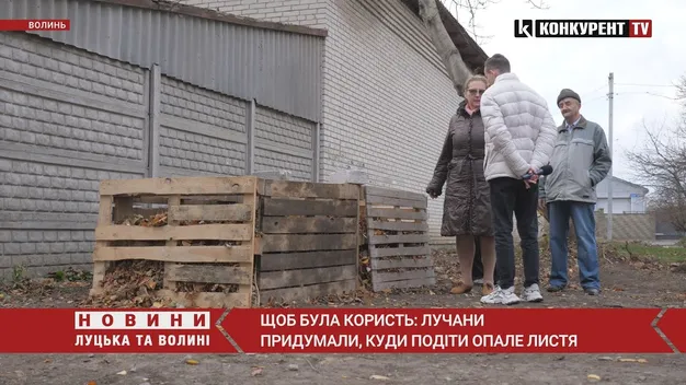 Щоб була користь: лучани придумали, куди подіти опале листя (відео)