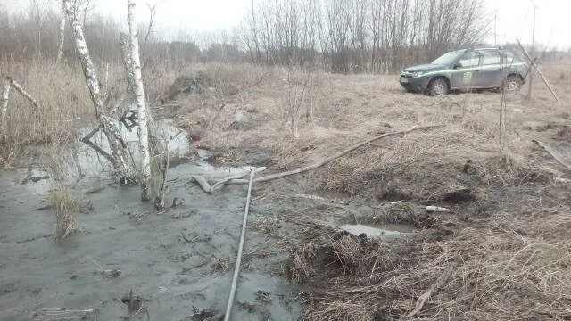 На Волині знайшли місце, де незаконно копали бурштин (фото)