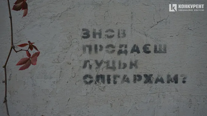 Квіти, песики, каштани: Дубнівська у Луцьку восени (фото)