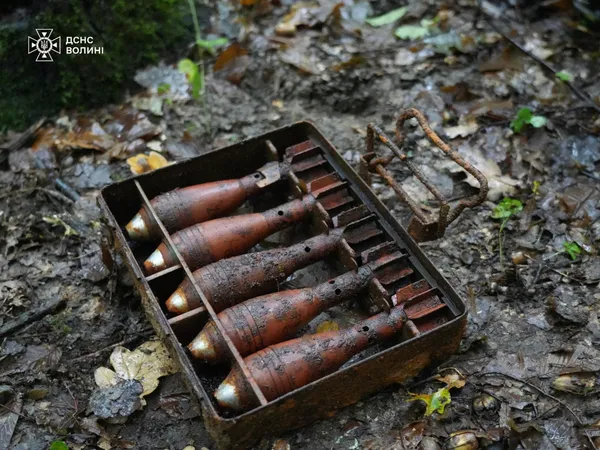 На Волині сапери знешкодили вибухівку часів Другої світової війни (фото, відео)